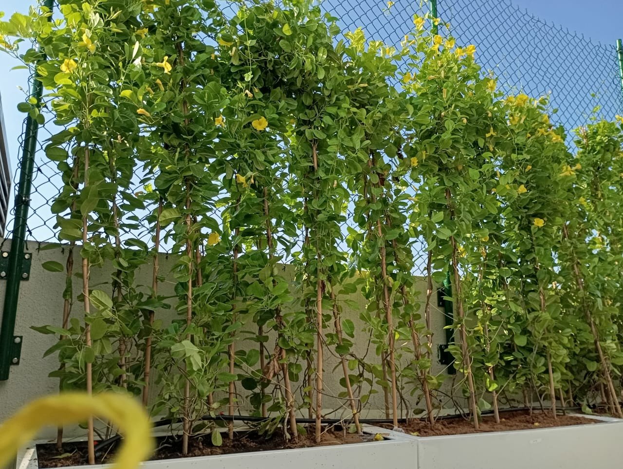 WhatsApp Image 2026-01-26 at 9.31.15 PM