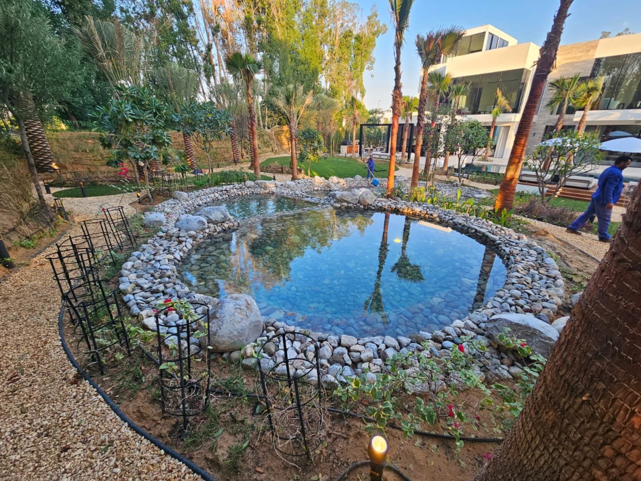 WhatsApp Image 2026-01-26 at 9.31.17 PM (1)