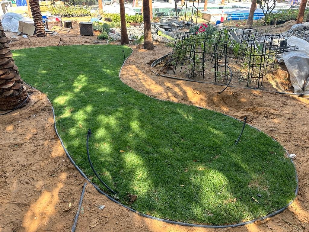 WhatsApp Image 2026-01-26 at 9.31.24 PM