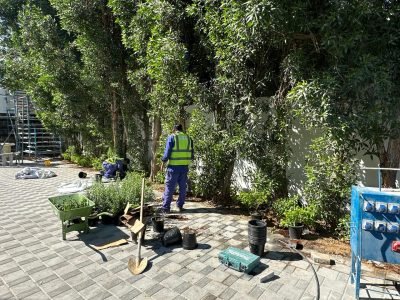 WhatsApp Image 2026-01-26 at 9.31.46 PM (1)